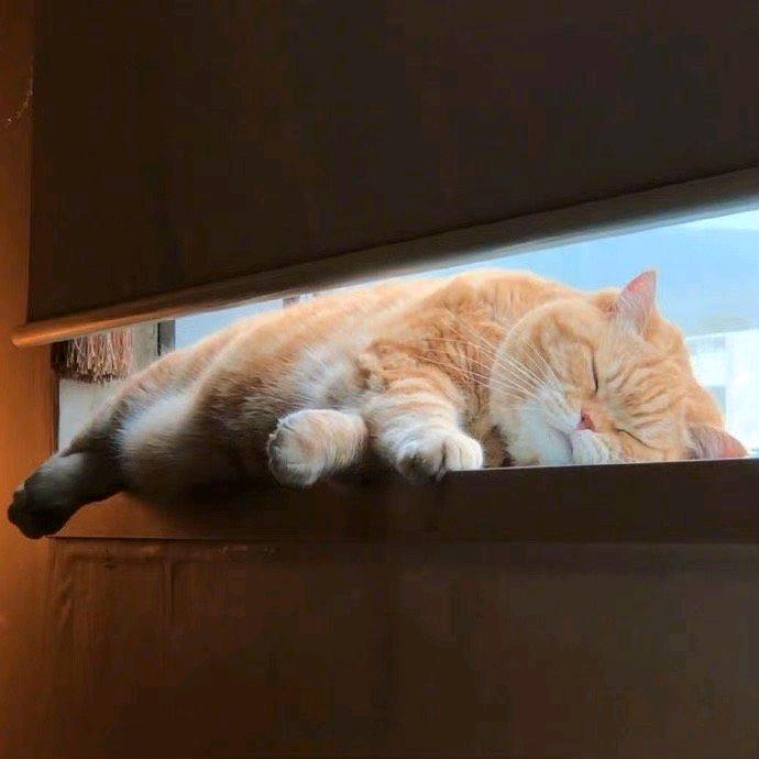 婷姐努力提升中