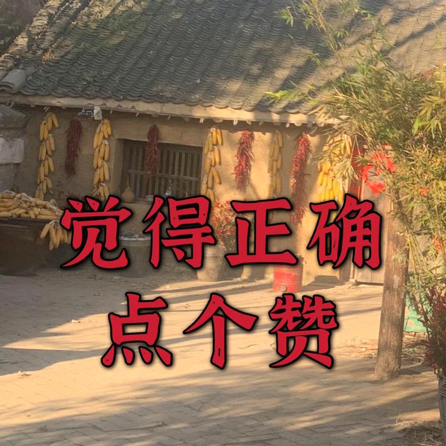 农村人