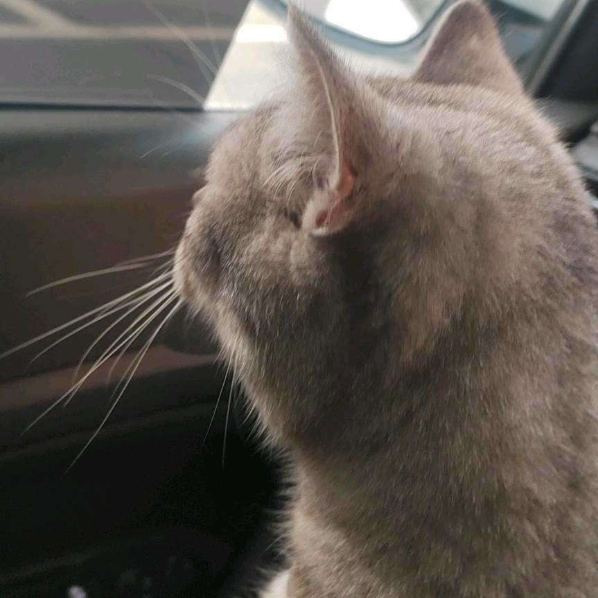 A丶ℳ๓₯㎕  八月上