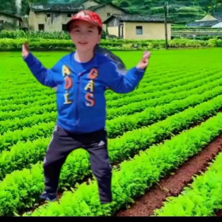 沃尔丰农资王者(商品在橱窗)