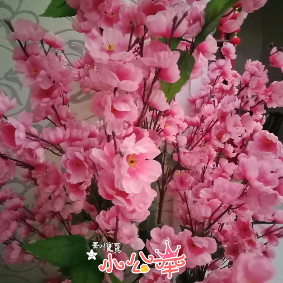 付真