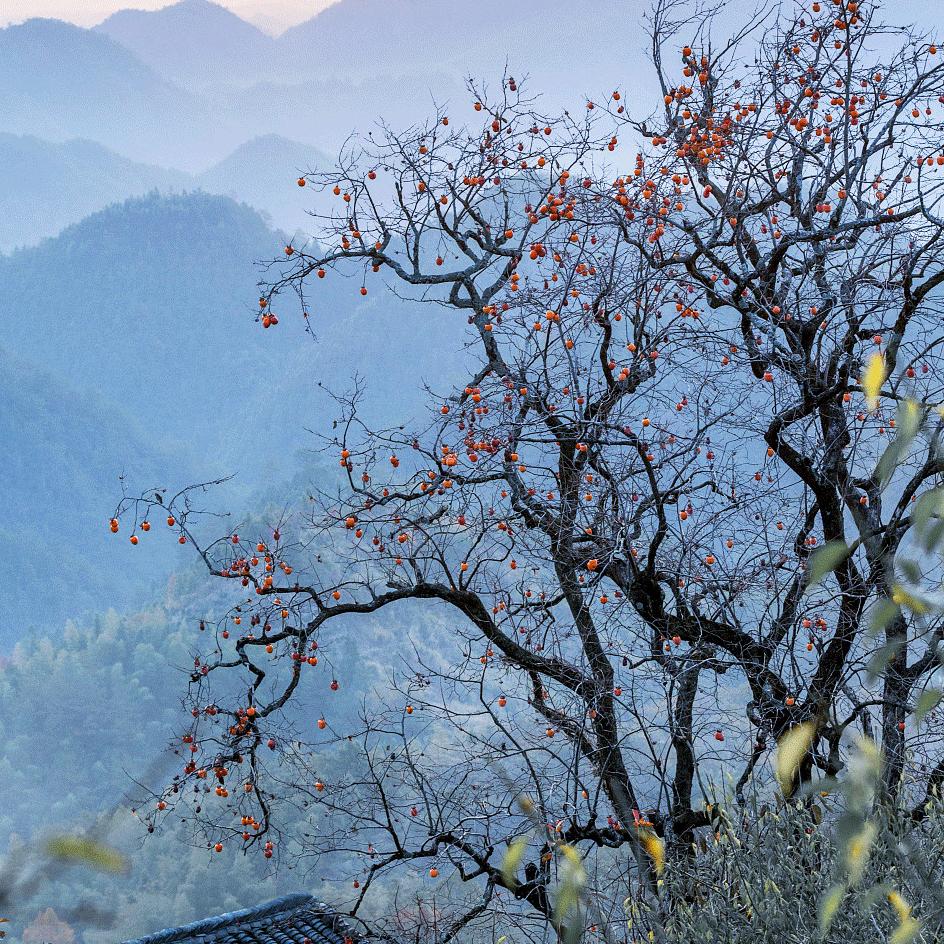 隧道二衬あㄅ小夏