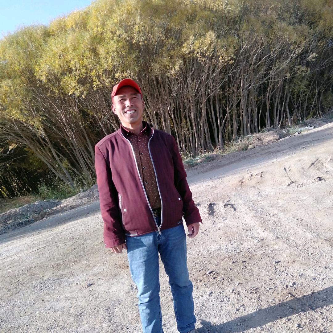贺子开心直播间