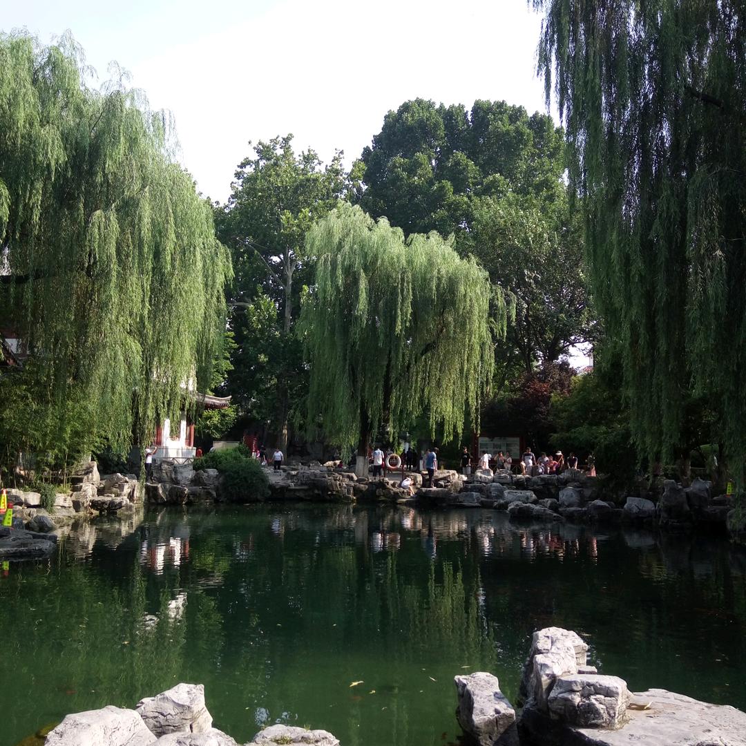 →_→相顾无言→_→