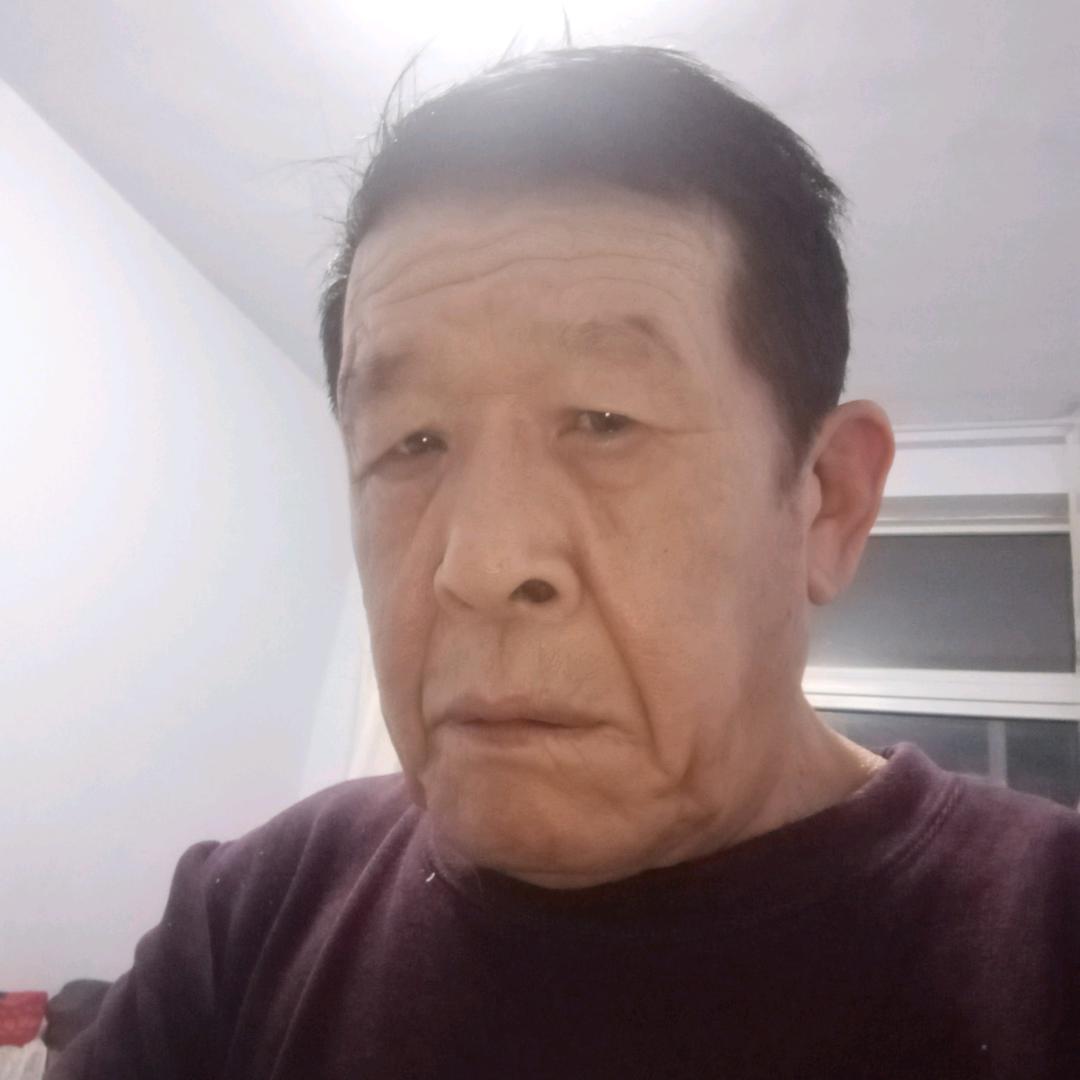 海中金王金海