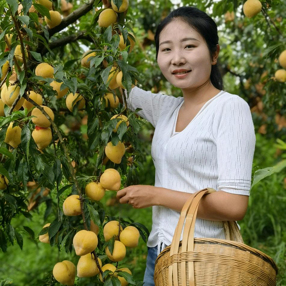 贵州一代龙玲