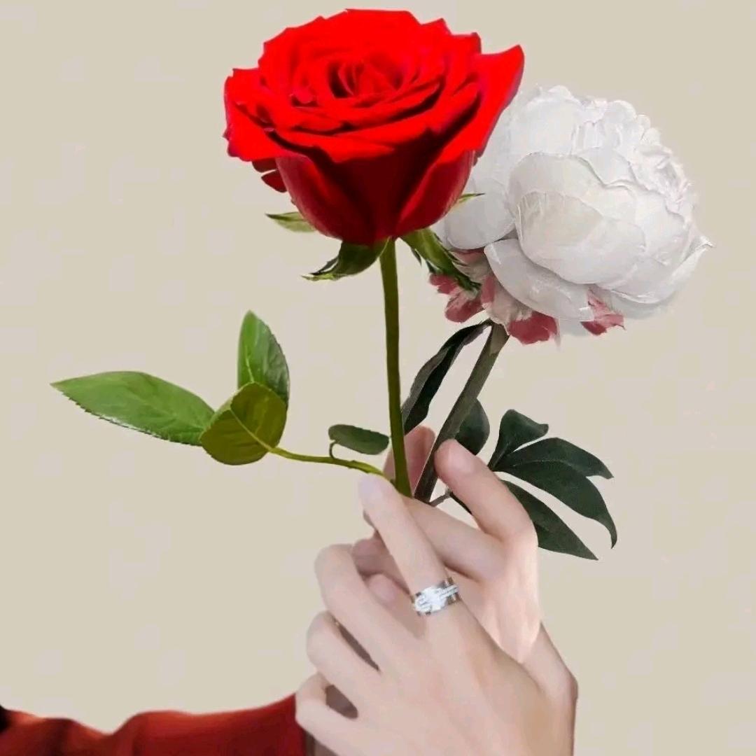 简～拔萃、、、