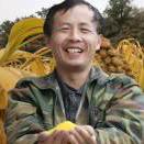 宝玉   农家小米