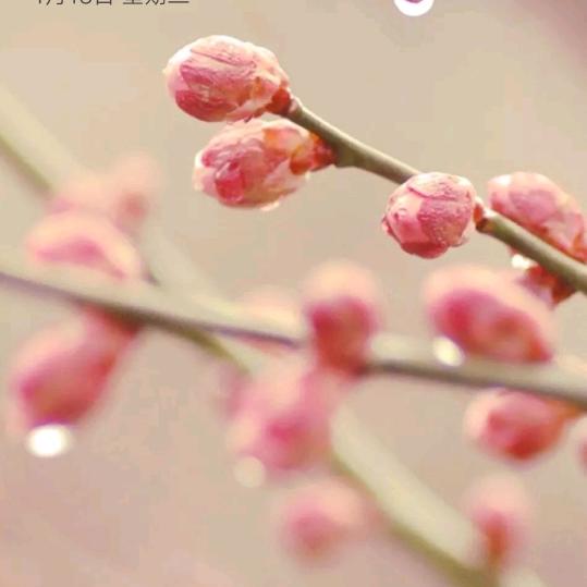 恩典.