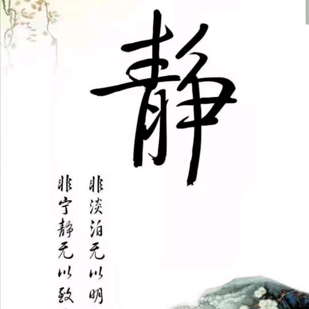 小林金银花  菊花加工