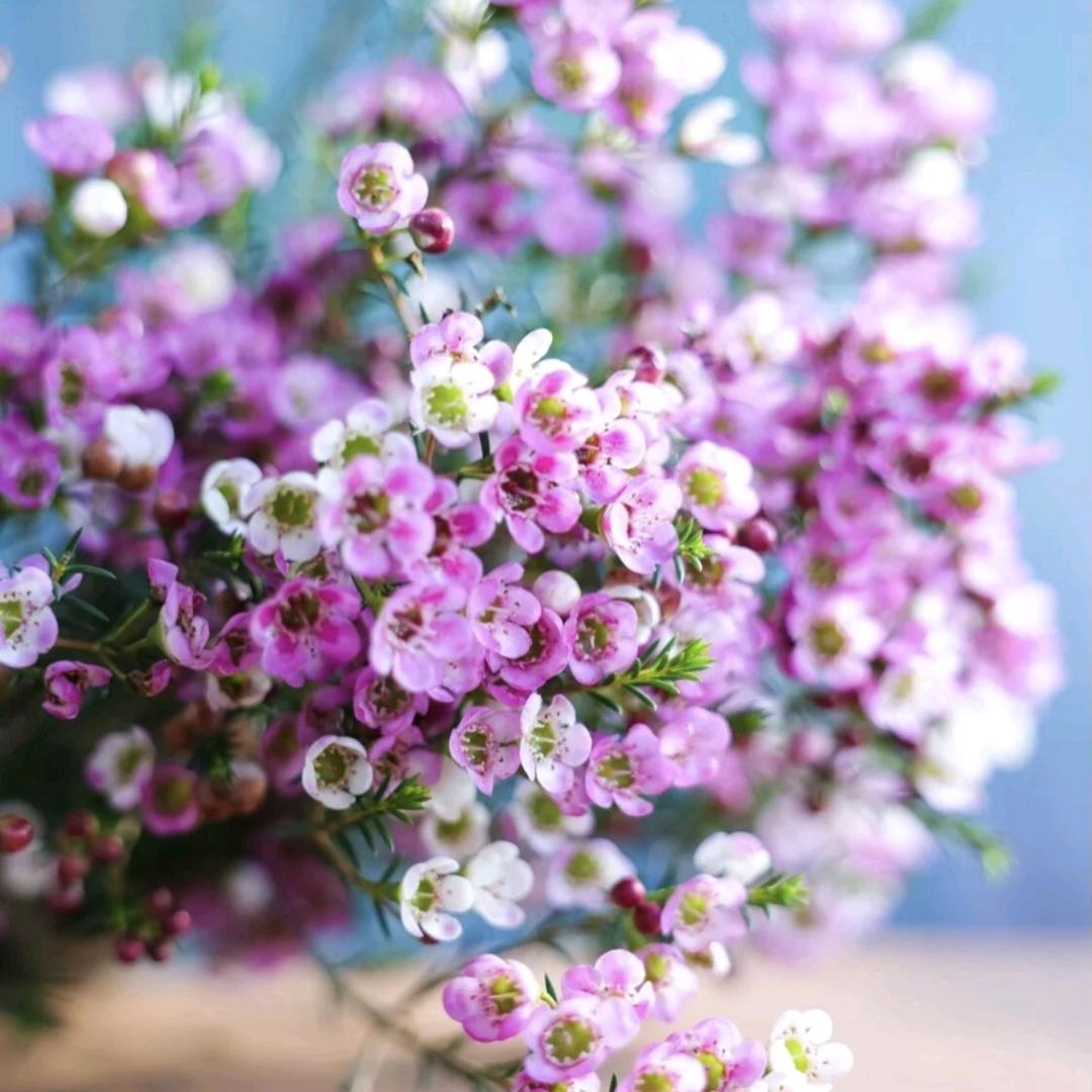 烦恼不过夜，健忘才幸福