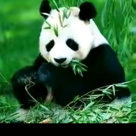 开心快乐