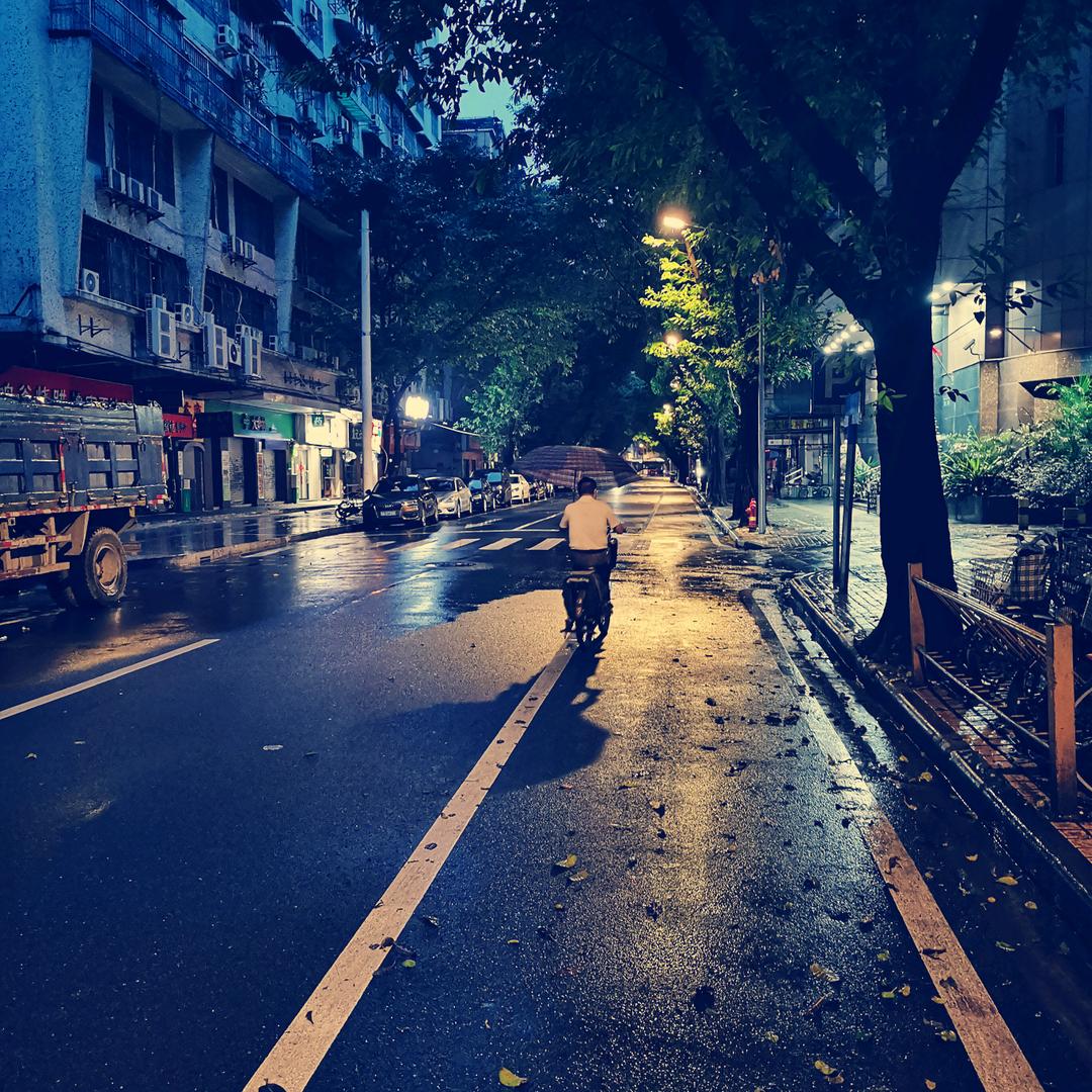 兔豪