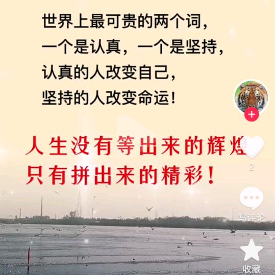 思维认知
