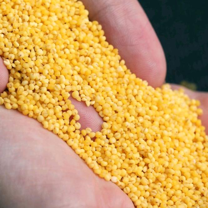 祈福🙏🏻🙏🏻🙏🏻