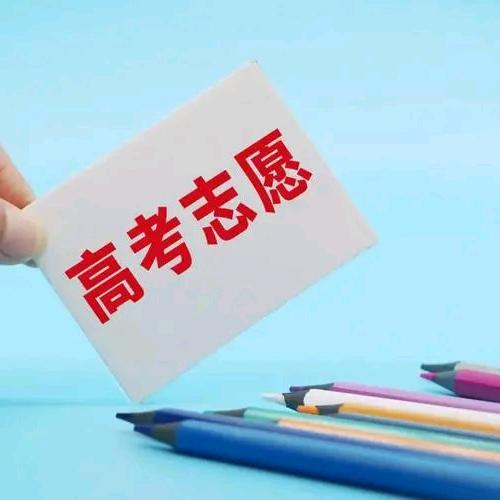 升学志愿报考