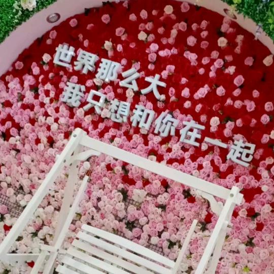 〈静待花开〉