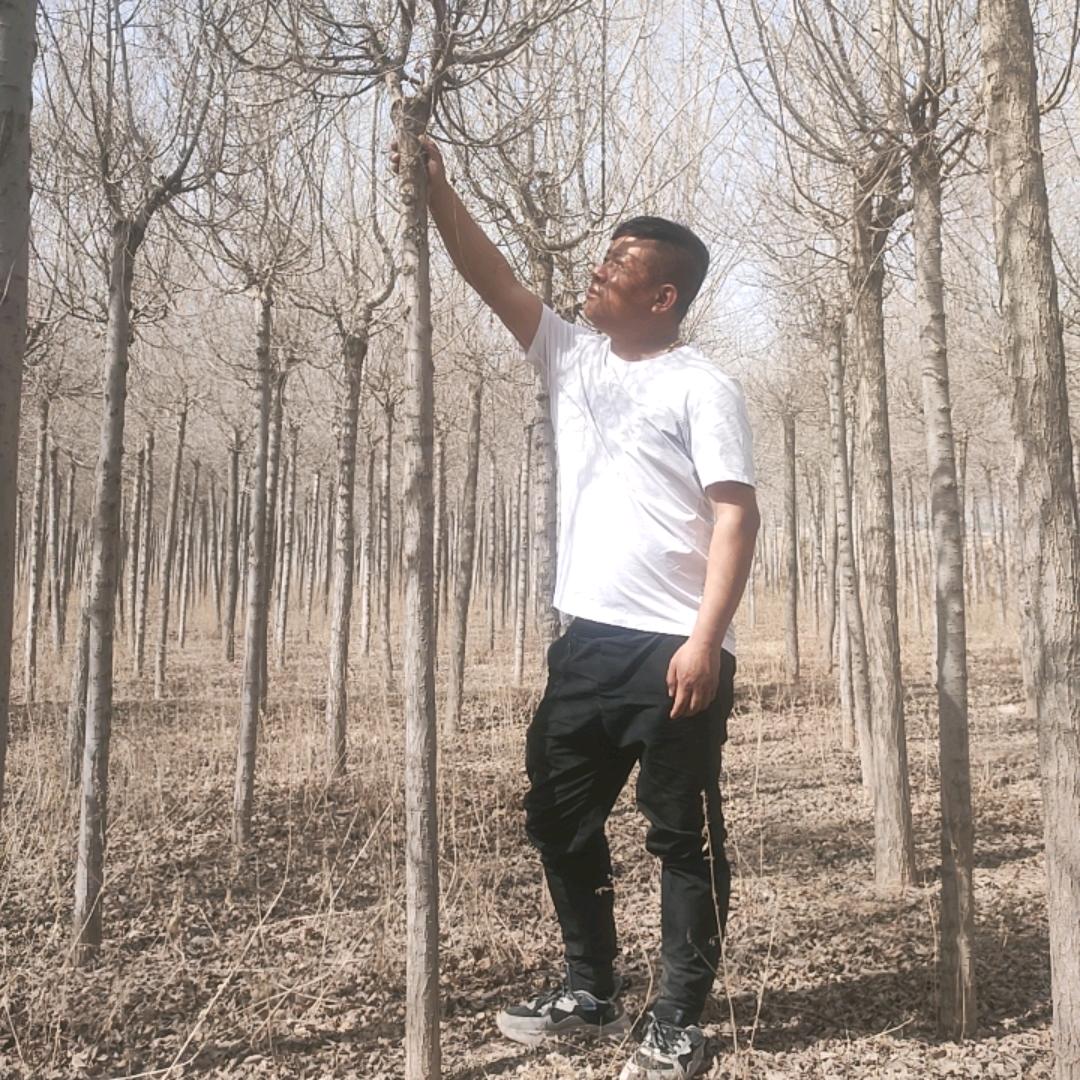 宁夏俊熙苗木合作社