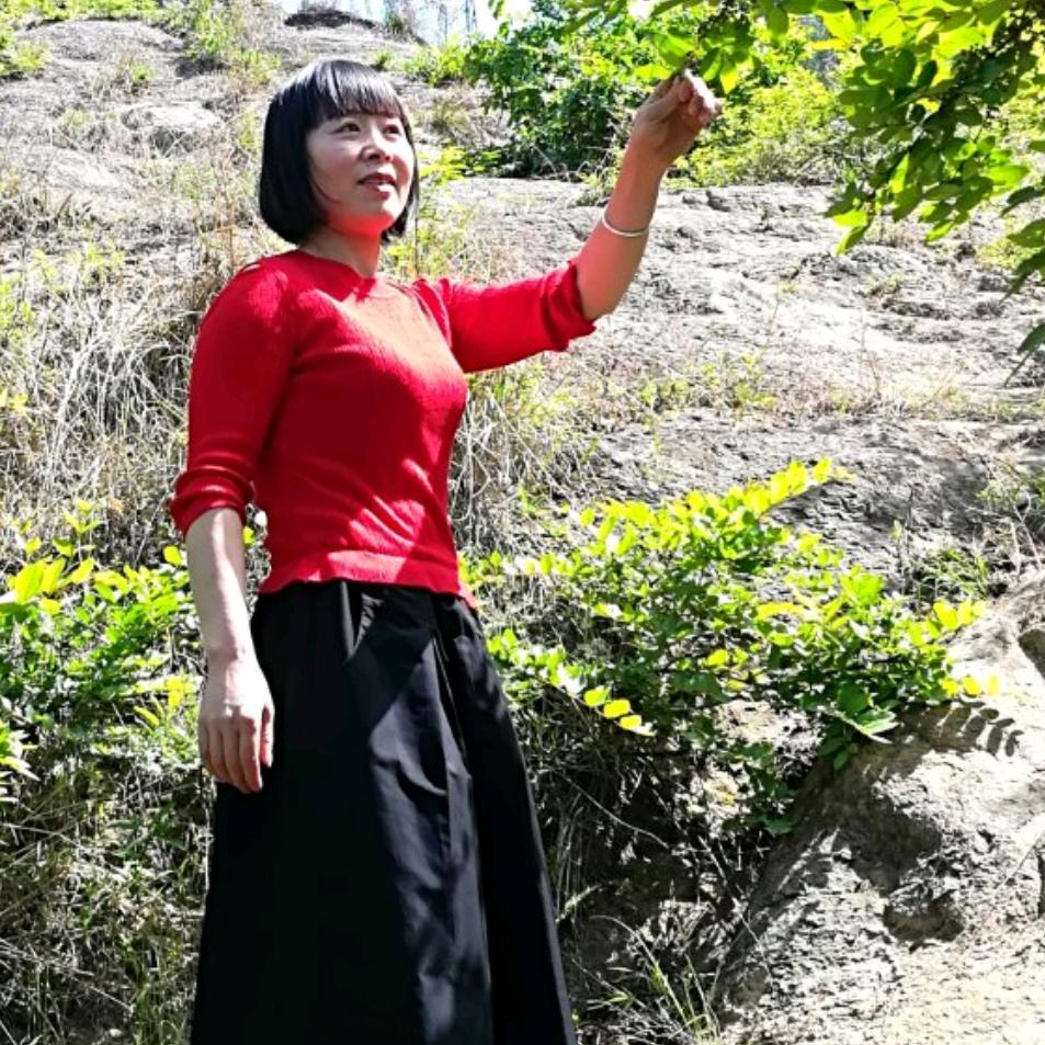 沙洲绿叶