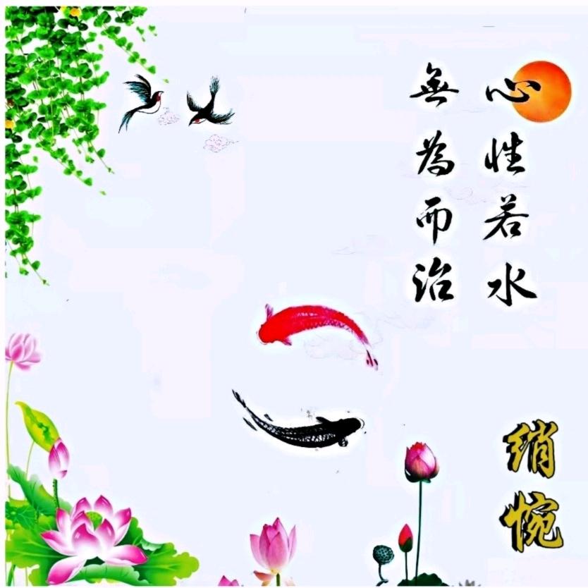 锦汐