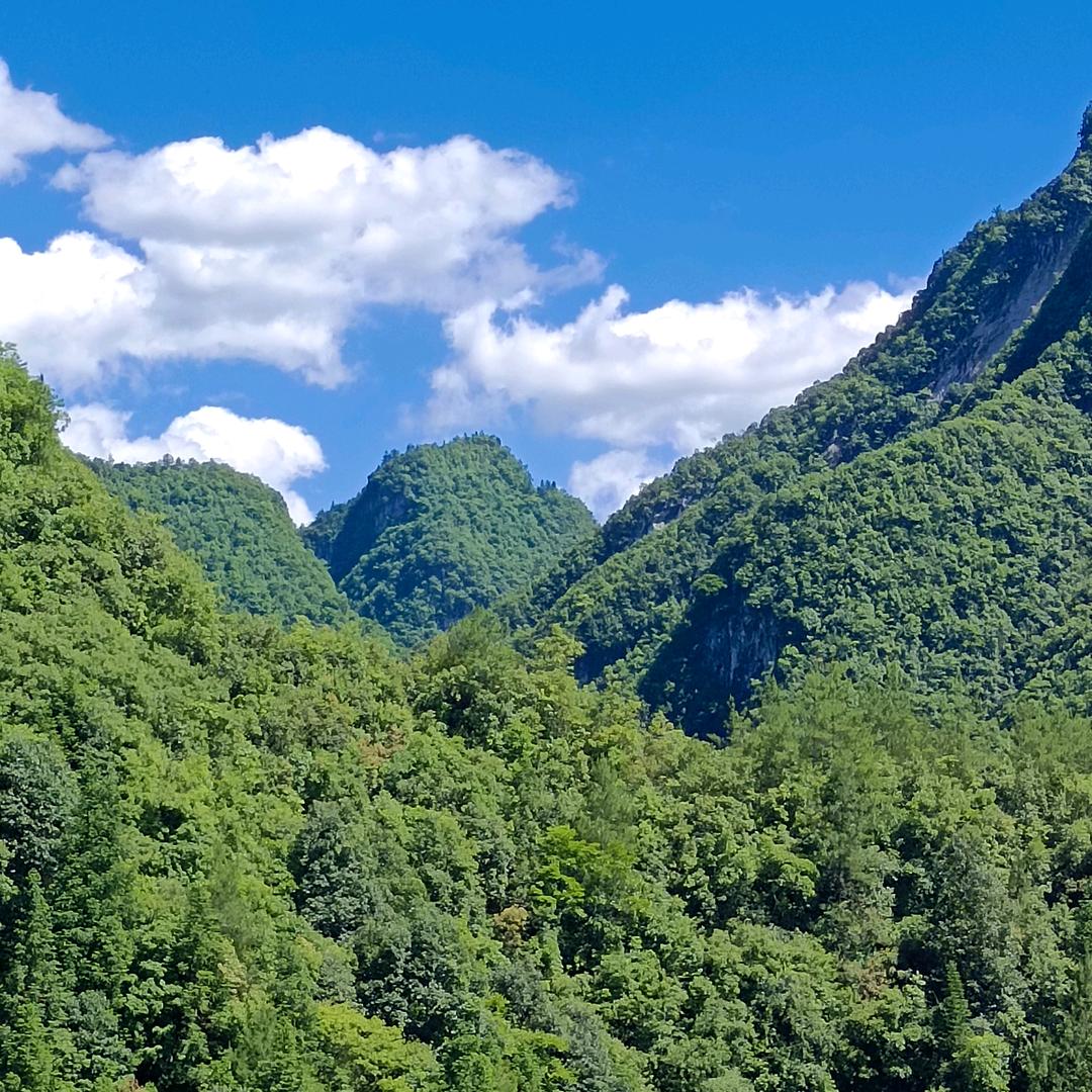 静默