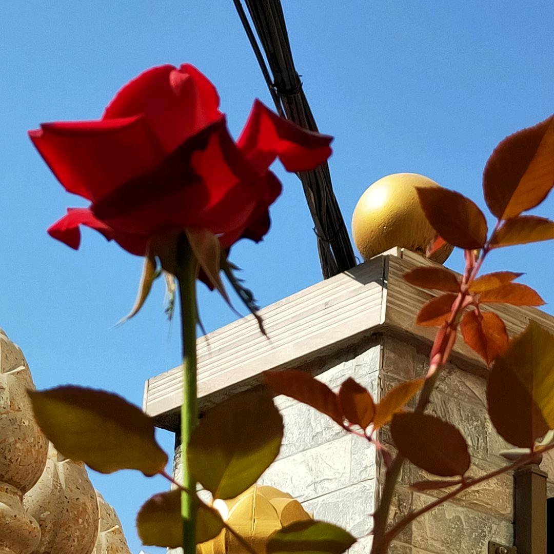 花庭苑