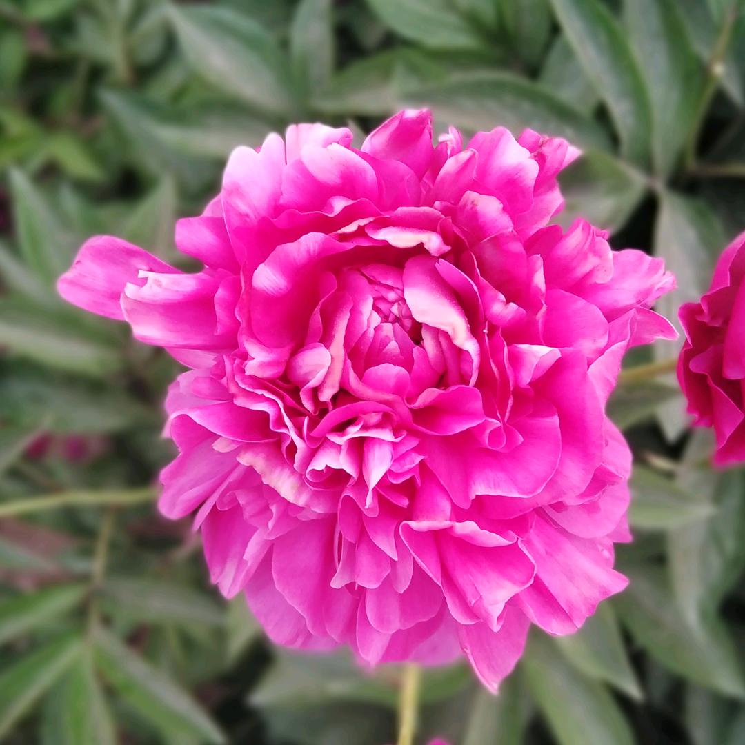 🍀᭄不值得🥀ꦿঞ