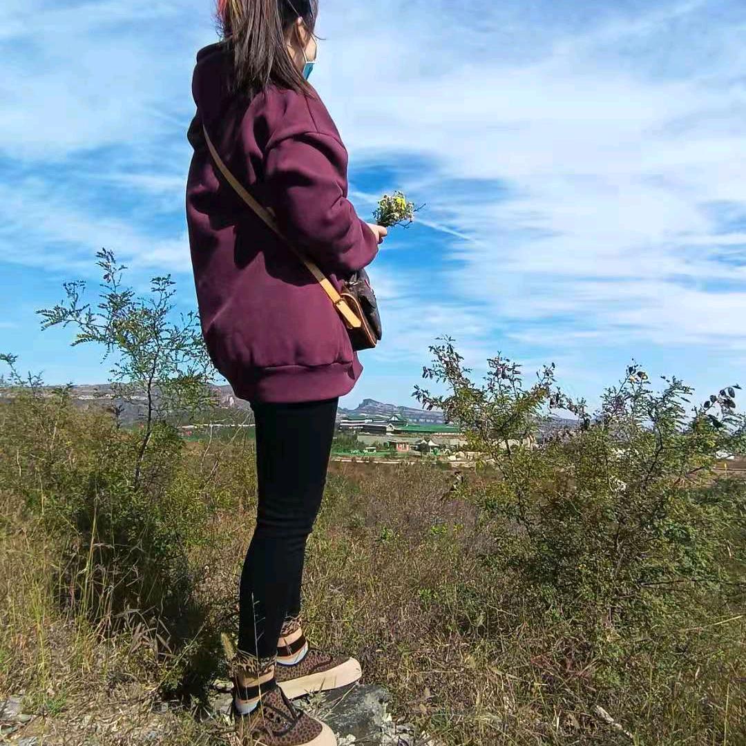 安淇安妮