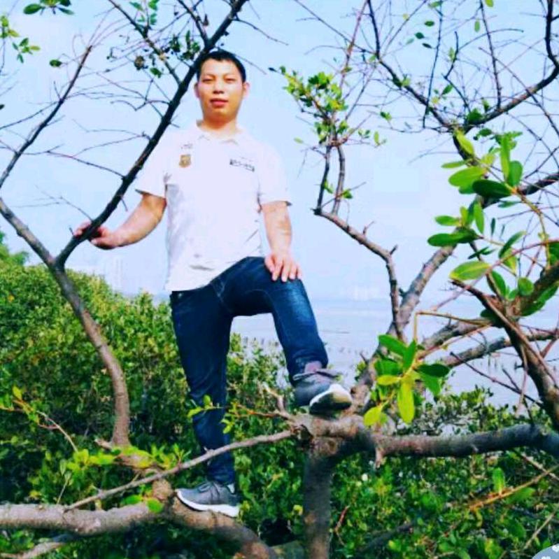 龙哥