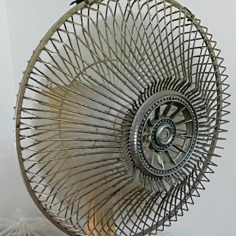 达理