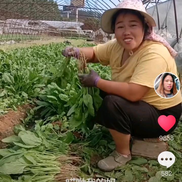 龙玲珑