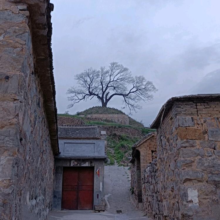 辙嘿