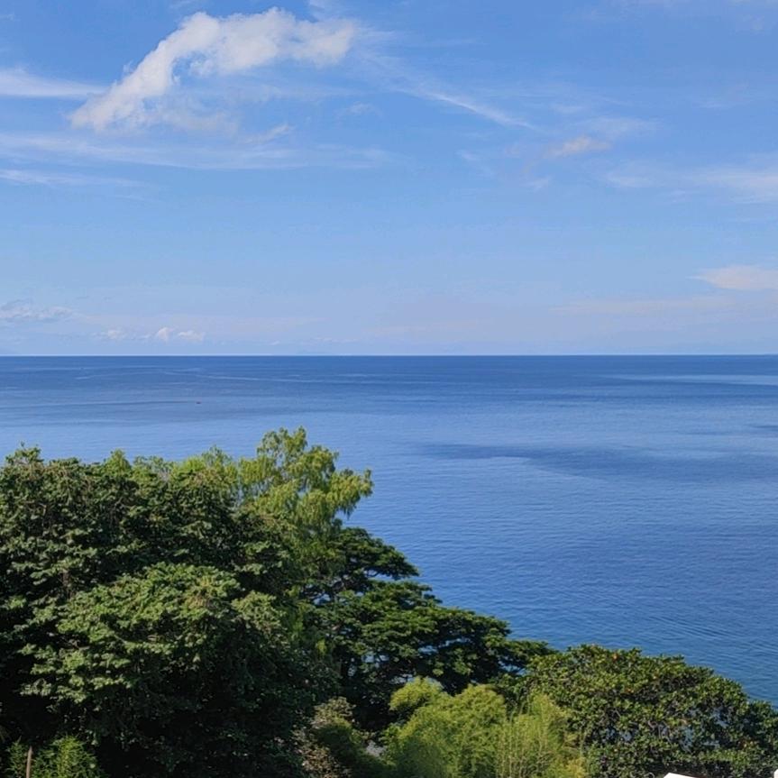 灰太狼我一定会回来的