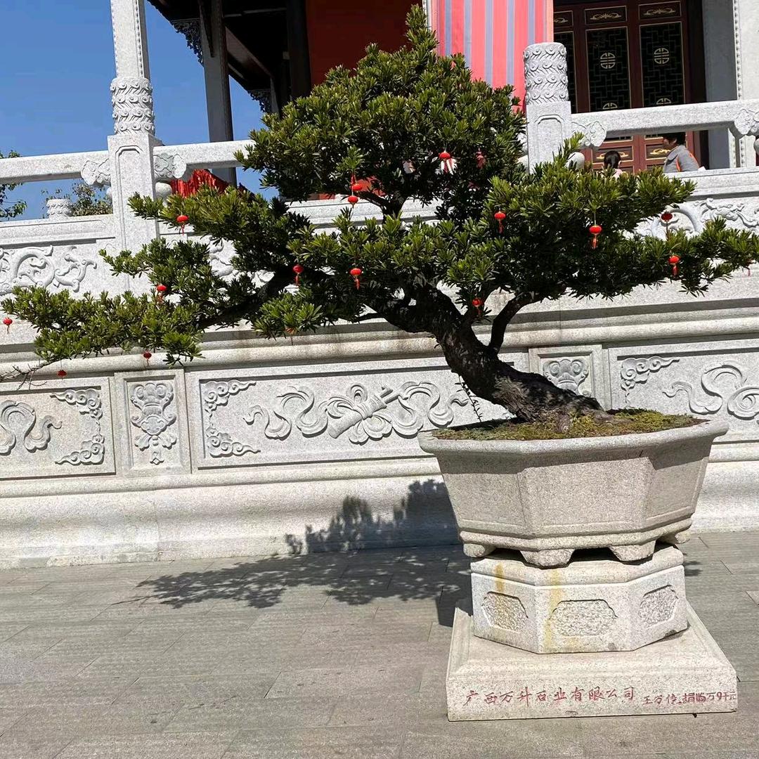 年轻不忘少年狂7226187717671