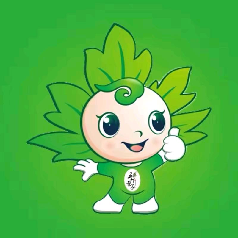 五个叶子蕲艾店