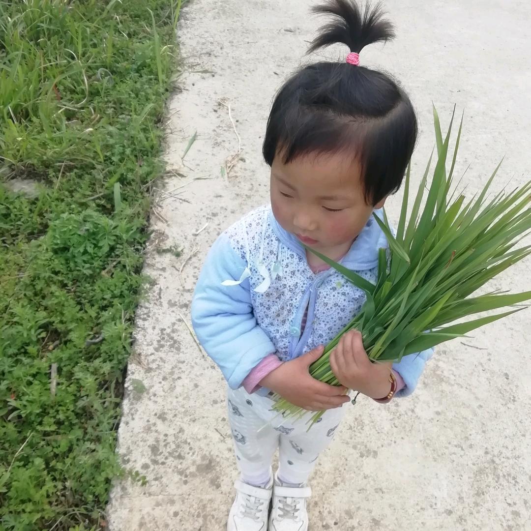 涛云薇