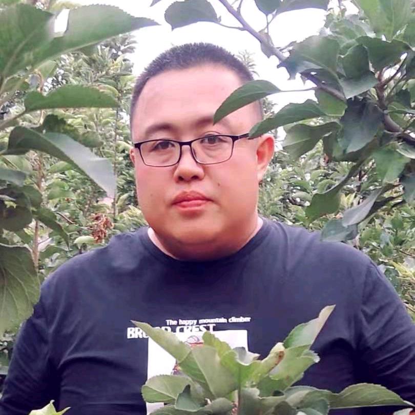 一昂=yang