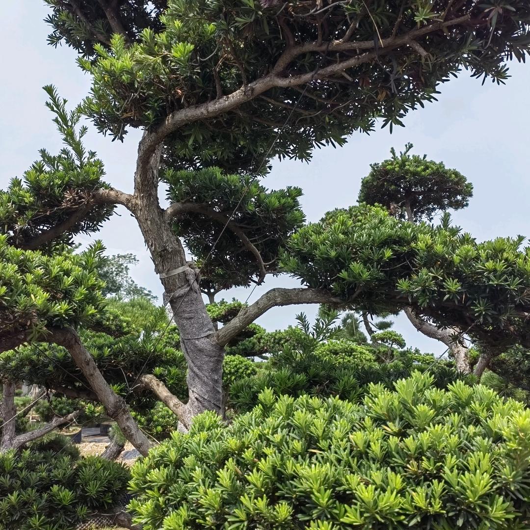 幸福安康美一天