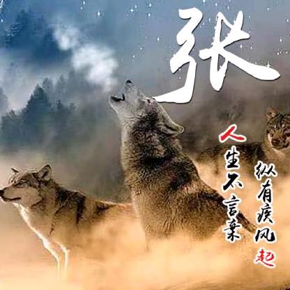 爷就这么酷
