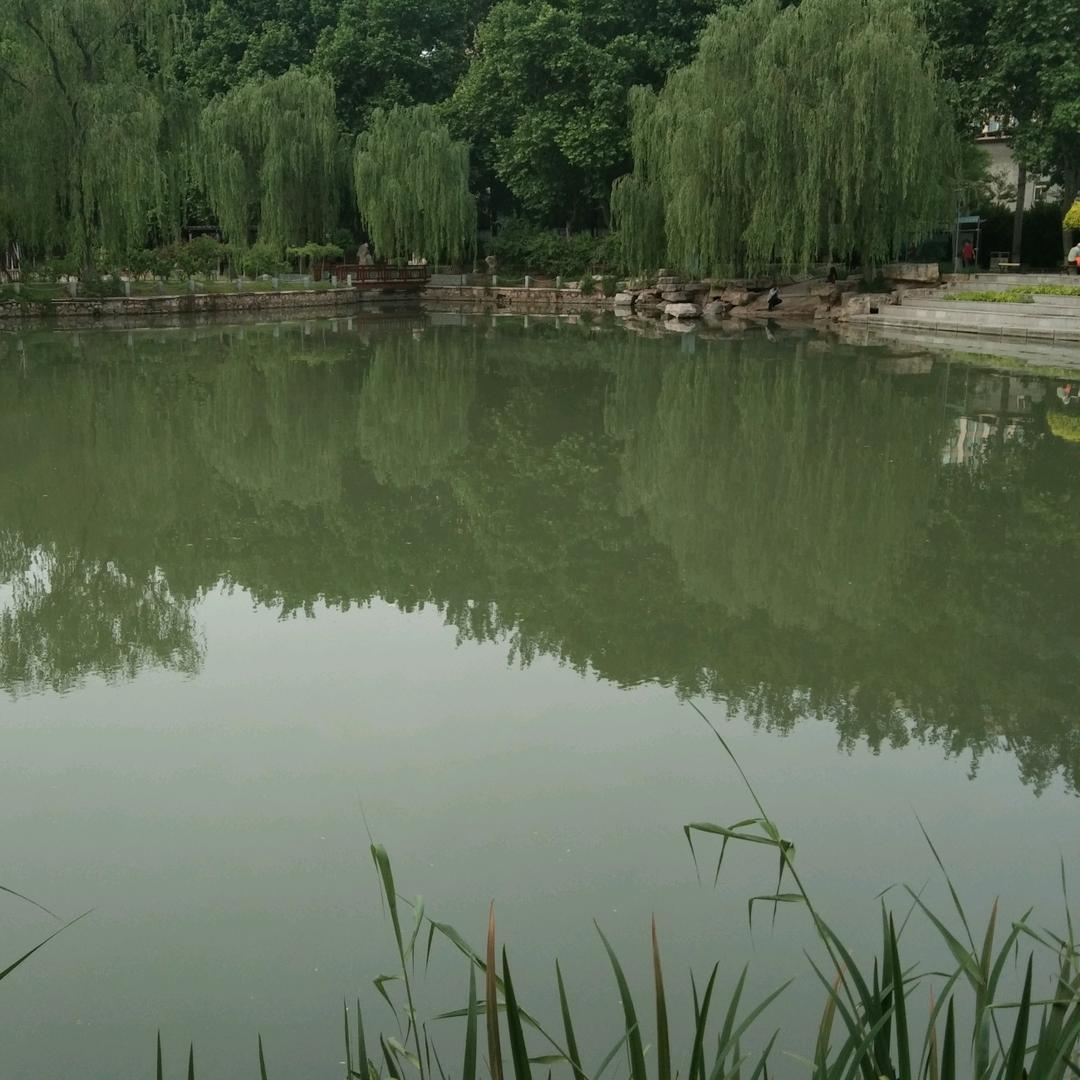 风雷滚滚