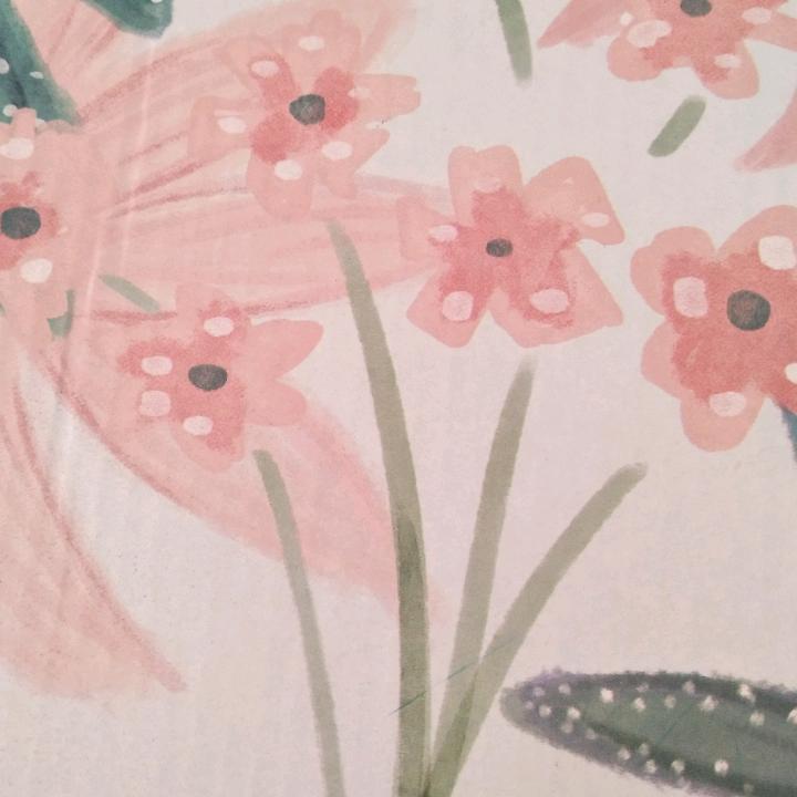 徐芹
