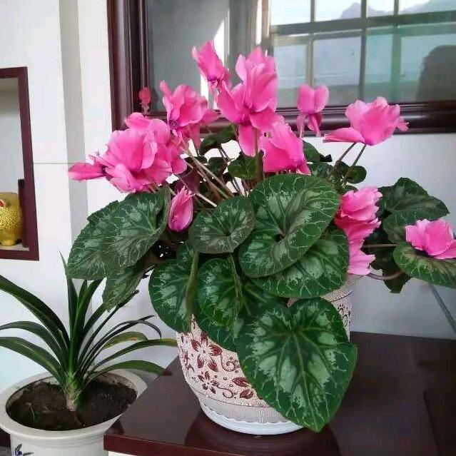 遇见你是我的缘