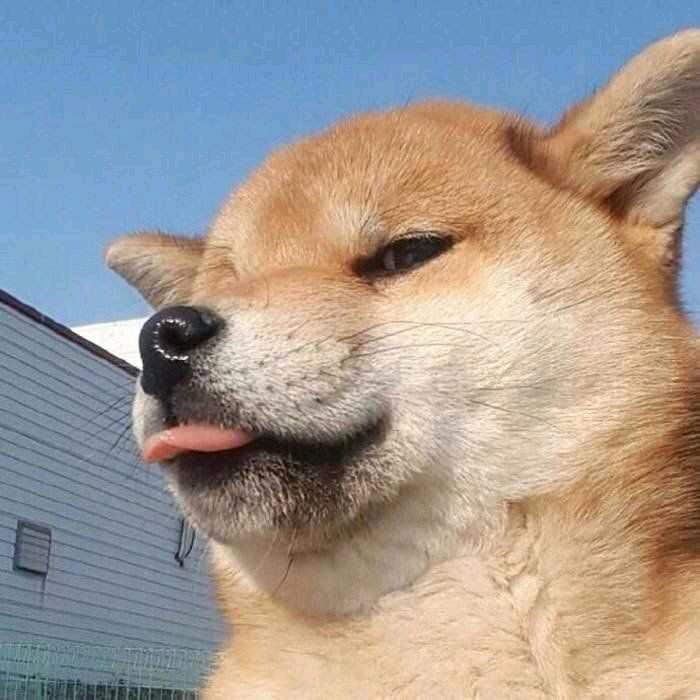姜知恩