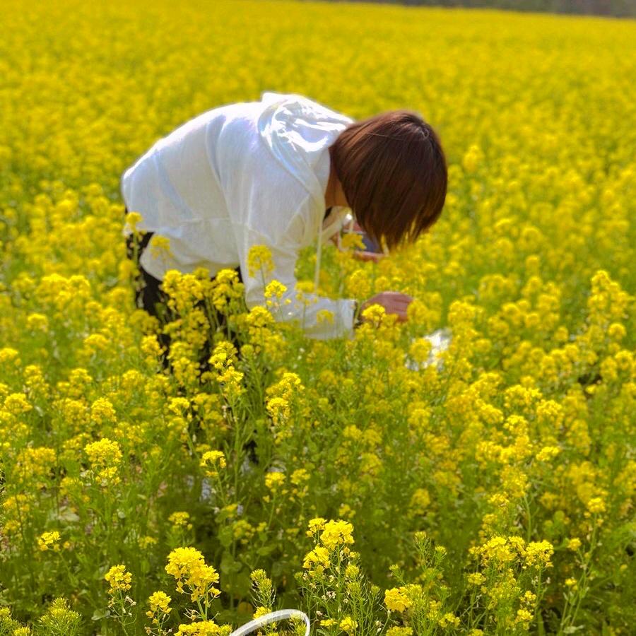 狮子座的wo