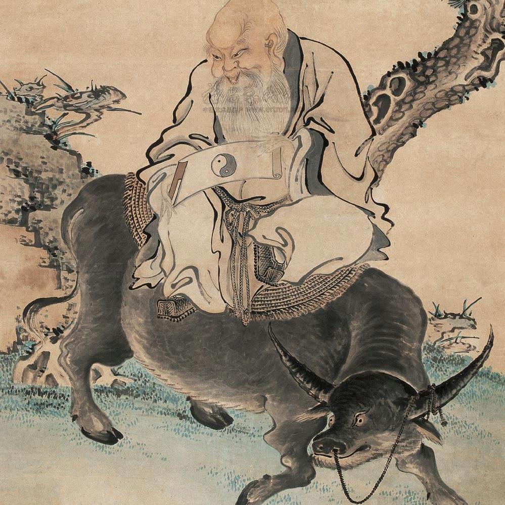 遁悟   🌹🌹🌹