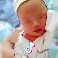 23楼头像