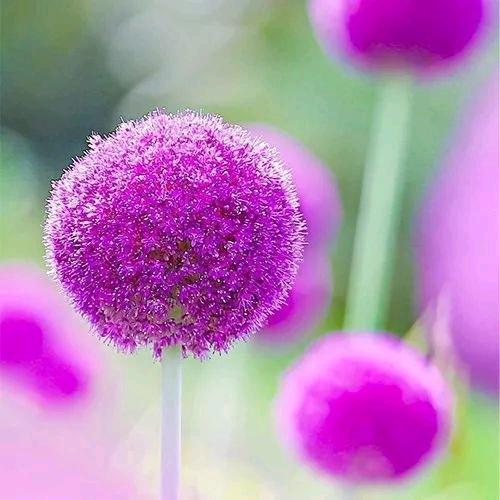 💞稳稳的幸福💞(拒合拍)