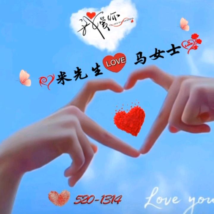 宸空灵鸽