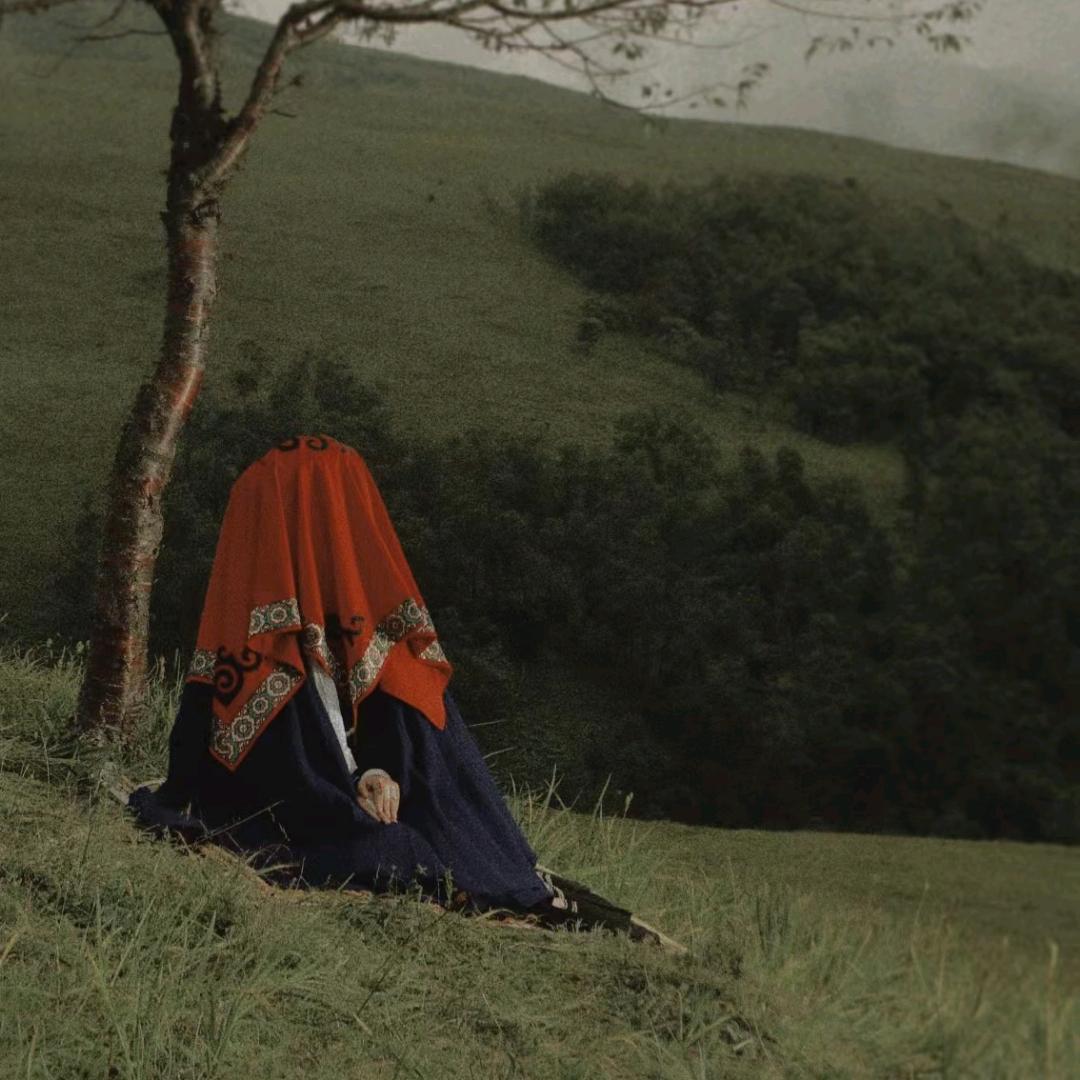 @土豆是不是洋芋？🌻