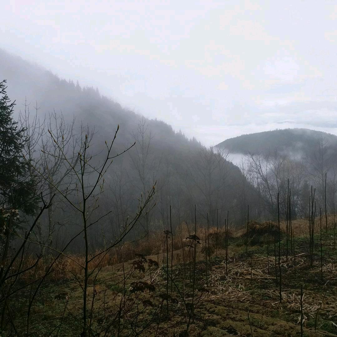 空气